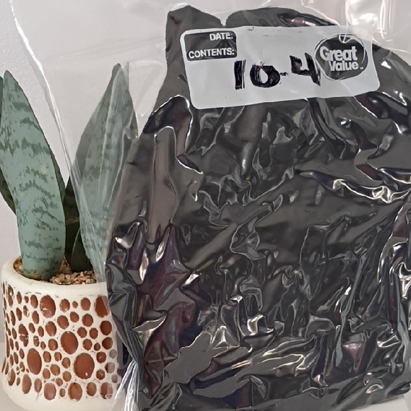 Social Standard By Charcoal Black Long Sleeve Shirt Size Large Tshirt - Picture 8 of 8